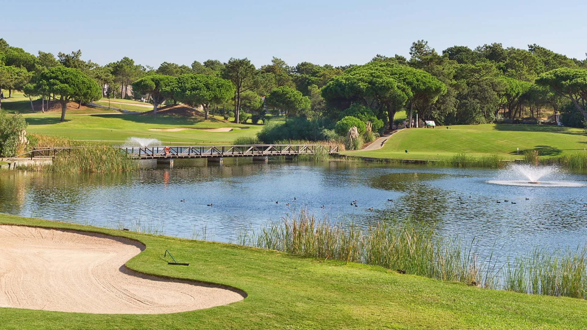 Beautiful newly constructed golf course in Florida by Westscapes Golf Construction.